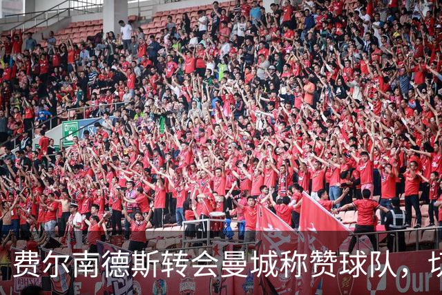费尔南德斯转会曼城称赞球队，切尔西球迷反应各异